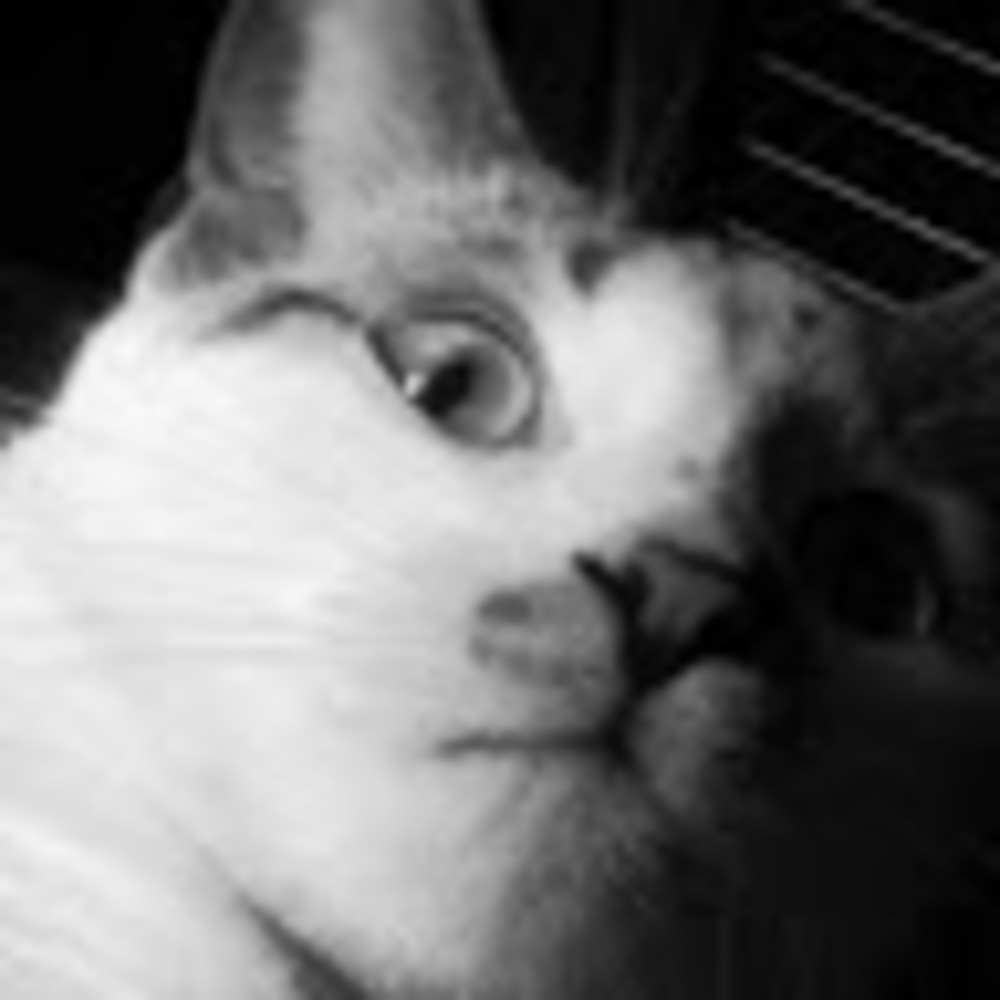 Meet your Posher, Follow